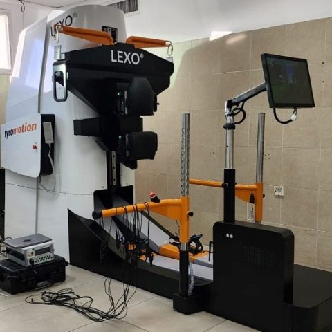lexo 